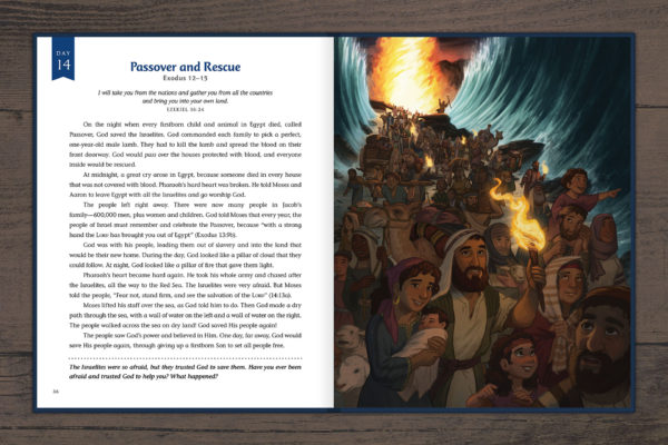 The Advent Storybook: 25 Bible Stories Showing Why Jesus Came - Image 4